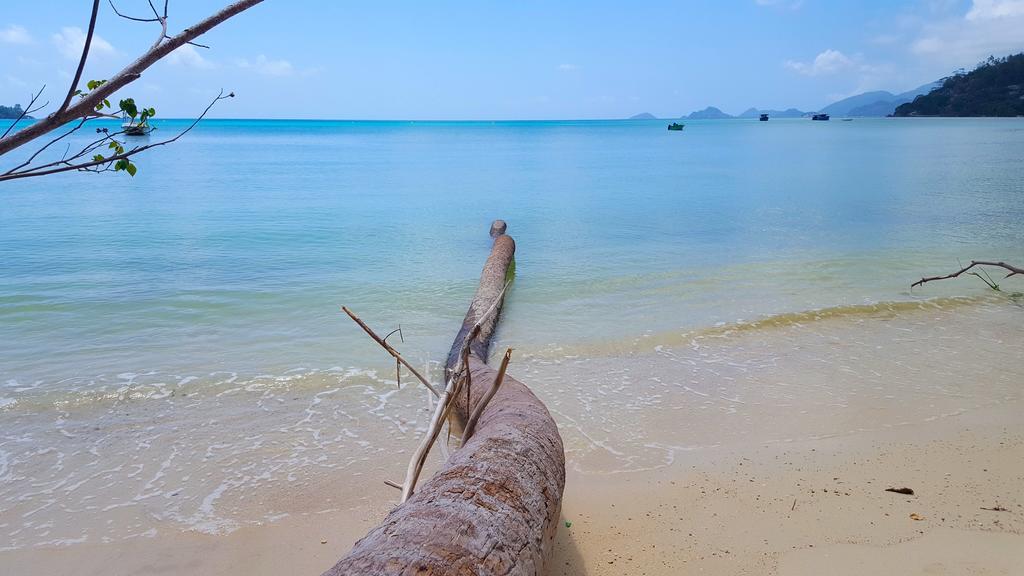 88 Days Self Catering Holidays & Accomodation Baie Lazare  エクステリア 写真
